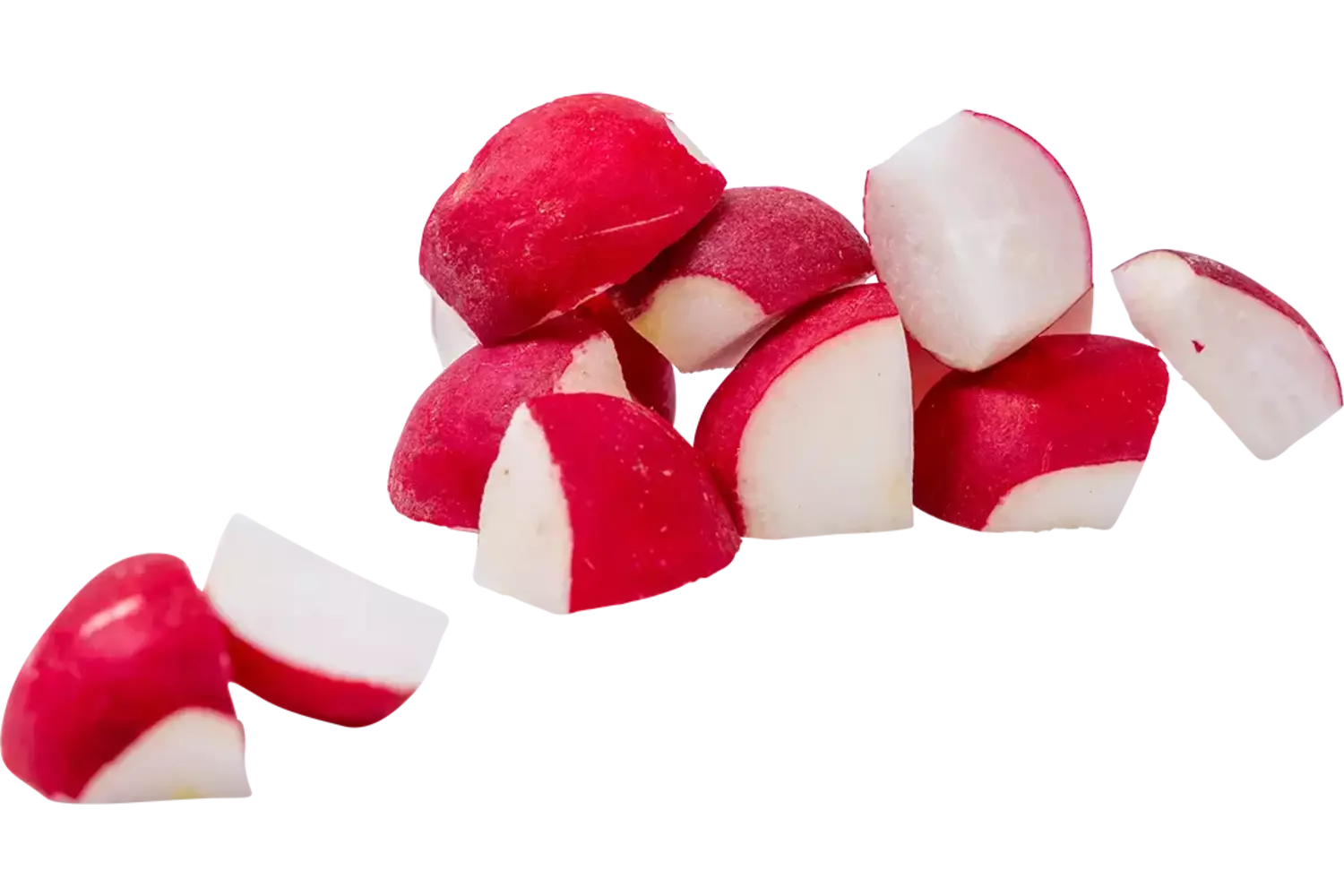 Radijs kwarten bulk